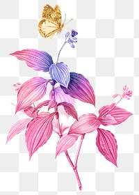 Png flower aesthetic sticker, pink illustration, remixed from vintage public domain images