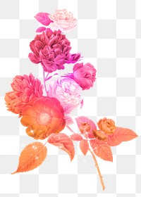 Png flower aesthetic sticker, pink illustration, remixed from vintage public domain images