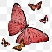 Png butterfly aesthetic sticker, watercolor illustration, remixed from vintage public domain images