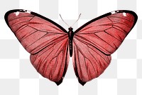Butterfly png clip art watercolor, aesthetic illustration, remixed from vintage public domain images