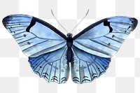 Png butterfly sticker, blue illustration, remixed from vintage public domain images