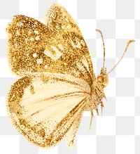 Png butterfly aesthetic sticker, gold illustration, remixed from vintage public domain images