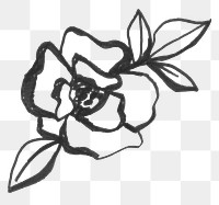 Png flower sticker, aesthetic line art illustration, remixed from vintage public domain images