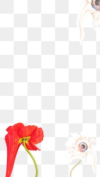 Flower border png, abstract transparent background