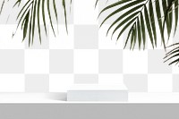 White png product display with palm leaves