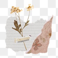 Dried daisy png flower clipart, Autumn scrapbook collage, paper craft on transparent background