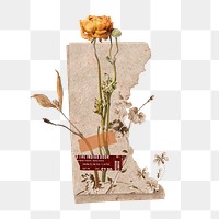 Dried rose png flower collage, Autumn aesthetic in vintage design on transparent background