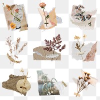Aesthetic journal sticker png, dried flower and ripped paper collage art set on transparent background