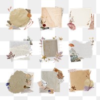 Vintage collage png frame, Autumn aesthetic with dried flowers set on transparent background