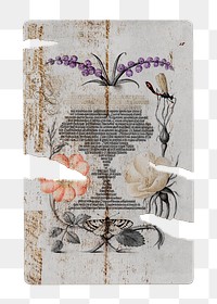 Floral ripped png poster, abstract paper on the wall on transparent background