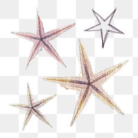 Star shape png clipart, paper craft collage element on transparent background