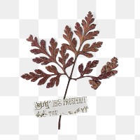 Brown leaf png clipart, Autumn aesthetic on transparent background