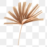 Gold palm leaf png sticker, transparent background