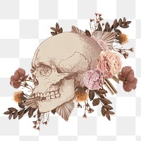 Aesthetic skull png cut out, transparent background