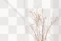 Flower border png, dried white statice with window shadow, transparent background