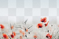 Poppy border png, transparent background, spring vibes