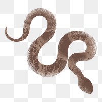 Brown snake png sticker, textured animal on transparent background