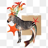 Zebra collage sticker note png, scrapbook paper clip art