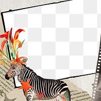 Zebra png transparent note in frame, surreal hybrid animal scrapbook illustration