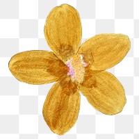 Yellow floral png sticker, transparent background, remixed from original artworks by Pierre Joseph Redout&eacute;