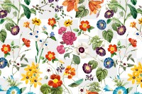 Colorful flower png pattern clipart, transparent background, remixed from original artworks by Pierre Joseph Redouté