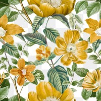 Floral png seamless pattern, transparent background, remix from the artworks of Pierre Joseph Redouté