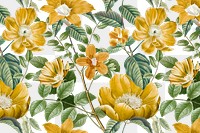 Yellow floral png pattern clipart, transparent background, remixed from original artworks by Pierre Joseph Redouté