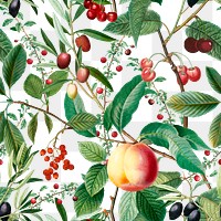 Botanical png seamless pattern, transparent background, remix from the artworks of Pierre Joseph Redout&eacute;