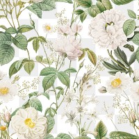 Botanical png seamless pattern, transparent background, remix from the artworks of Pierre Joseph Redout&eacute;