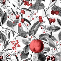 Botanical png seamless pattern, transparent background, remix from the artworks of Pierre Joseph Redout&eacute;