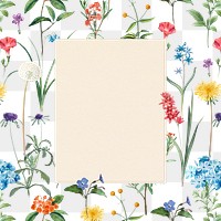 Flower png frame, transparent background, remix from the artworks of Pierre Joseph Redouté