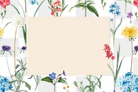 Floral png frame, transparent background, remix from the artworks of Pierre Joseph Redouté