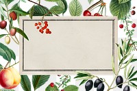 Colorful botanical png frame, transparent background, remix from the artworks of Pierre Joseph Redouté