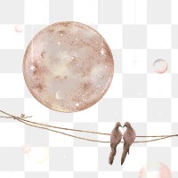 Couple birds png sticker, pigeon sitting on a wire, transparent background 