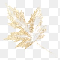 Autumn leaf png sticker, gold botanical design for digital planner, transparent background