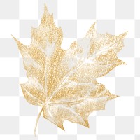 Gold botanical png sticker, aesthetic painting design, transparent background