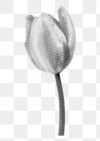 Tulip flower png sticker, retro halftone aesthetic, comic collage graphic