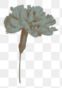 Carnation flower png sticker, retro halftone aesthetic design in transparent background
