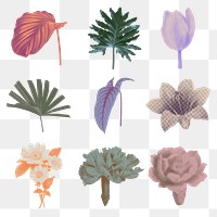 Botanical collage png sticker set, retro halftone colorful designs