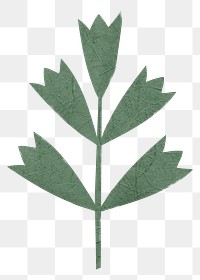 Leaves png nature sticker in transparent background