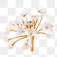 White blossom sticker png, flower collage element in transparent background