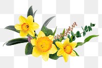 Flower bouquet png sticker, floral design in transparent background