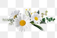 Flower bouquet png sticker, floral design in transparent background