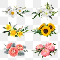 Png floral bouquet collage elements, botanical set in transparent background 