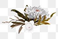 Flowers png sticker, greige aesthetic botanical design in transparent background