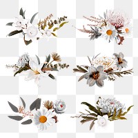 Png floral bouquet collage elements, botanical set in transparent background 