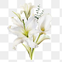 Png lilies flower sticker, botanical design in transparent background