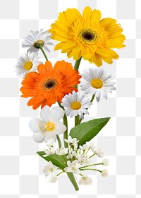 Png gerberas flower sticker, botanical design in transparent background
