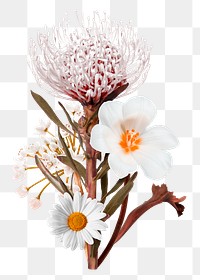 Png arnelia flower collage element, botanical design in transparent background