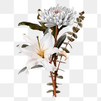 Chrysanthemum flower png sticker, greige aesthetic botanical design in transparent background